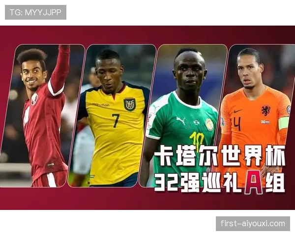 土耳其无缘世界杯32强:D组收官结果确定 土耳其无缘世界杯32强:D组收官结果确定